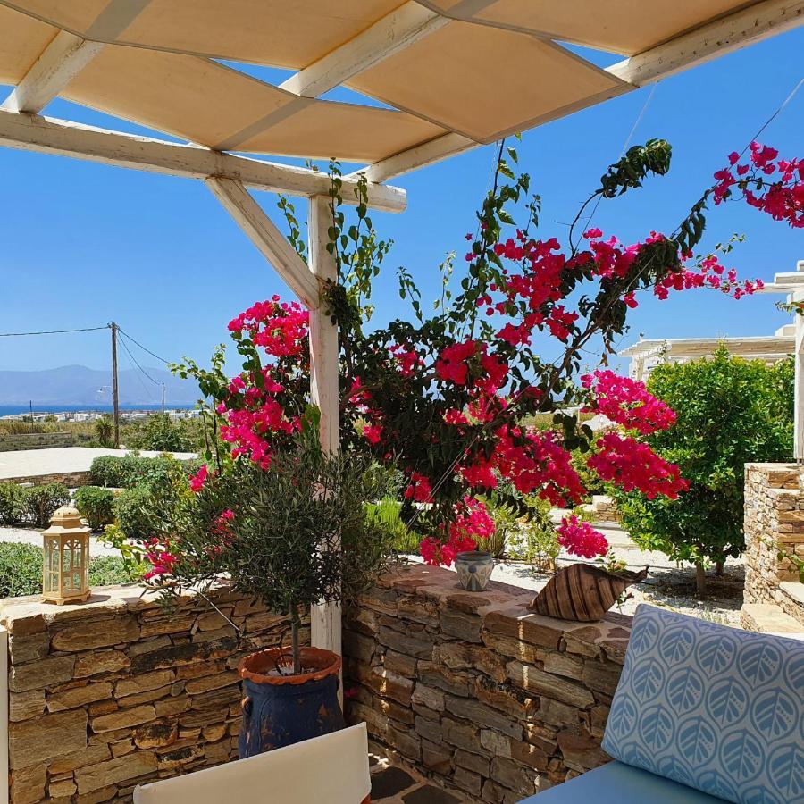 Agios Arsenios Casa Brad 빌라 외부 사진