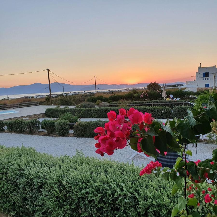 Agios Arsenios Casa Brad 빌라 외부 사진
